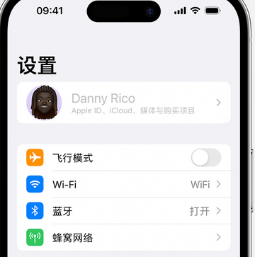 信宜appleID维修服务iPhone设置中Apple ID显示为灰色无法使用 