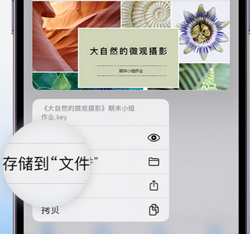 信宜apple维修中心分享iPhone文件应用中存储和找到下载文件