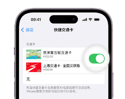 信宜apple维修点分享iPhone上更换Apple Pay快捷交通卡手绘卡面 