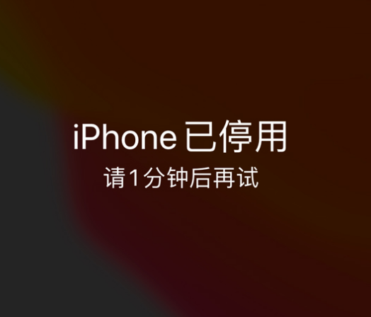 信宜苹果手机维修分享:iPhone 显示“不可用”或“已停用”怎么办？还能保留数据吗？ 