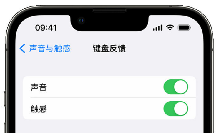 信宜苹果手机维修分享iPhone 14触感键盘使用方法 