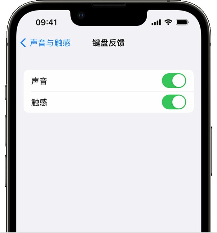 信宜苹果14维修店分享如何在 iPhone 14 机型中使用触感键盘 