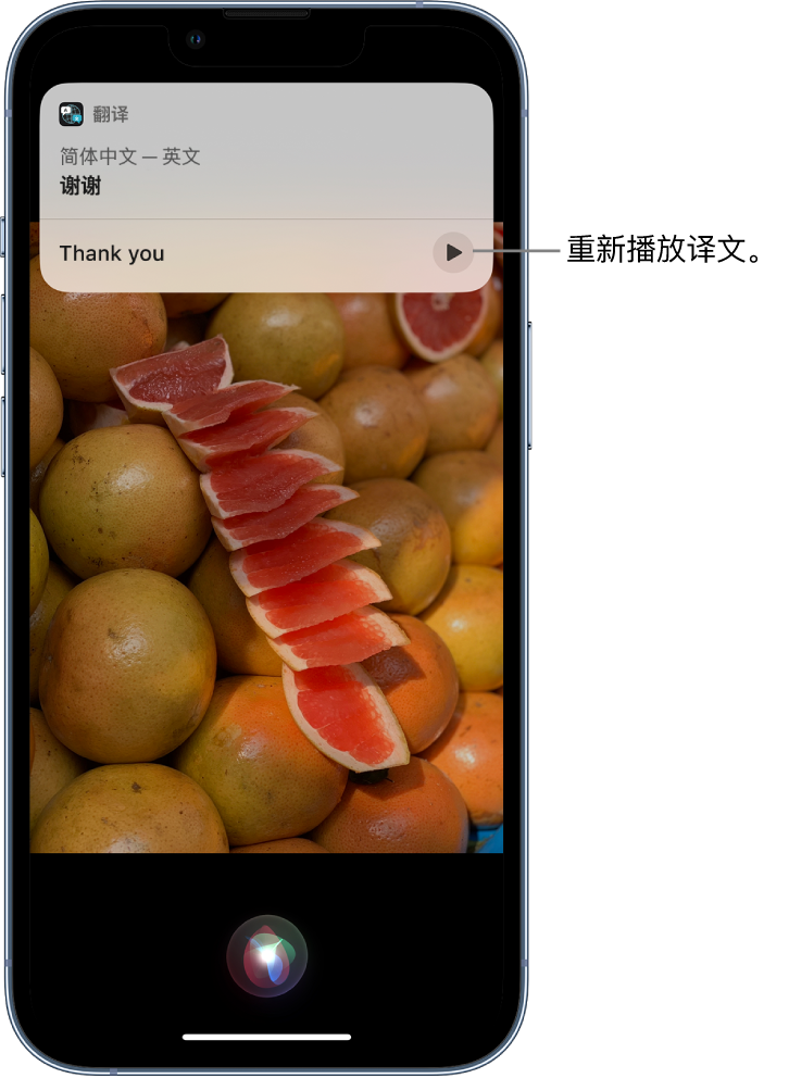 信宜苹果14维修分享 iPhone 14 机型中使用 Siri：了解 Siri 能帮你做什么 