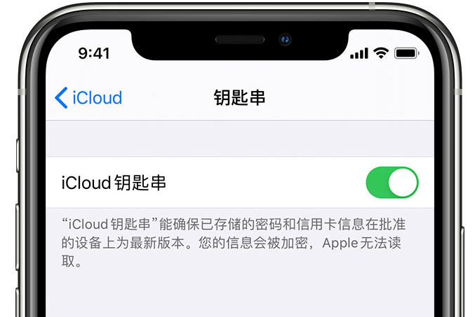 信宜苹果手机维修分享在 iPhone 上开启 iCloud 钥匙串之后会储存哪些信息 