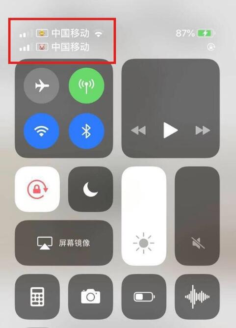 信宜苹果手机维修分享为 iPhone 12 双卡设置标签 
