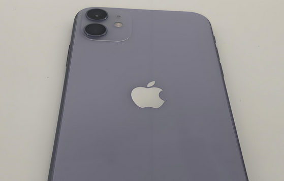 信宜苹果11系统维修分享iPhone11手机系统崩溃无法开机如何解决 